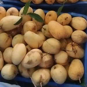 সুমিষ্ট কাটিমন 10 কেজি
